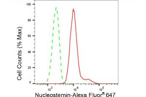 Flow cytometric analysis of Nucleostemin expression in HepG2 cells using Nucleostemin antibody (ABIN7798821), 1:2,000). (Recombinant Nucleostemin 抗体)