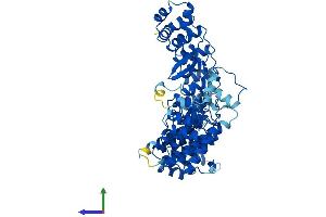 Protein Structure (PS) image for Fem-1 Homolog C (FEM1C) (AA 1-617) protein (His tag) (ABIN7547566)