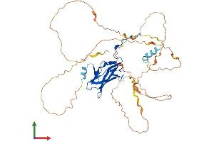 Protein Structure (PS) image for Runt-Related Transcription Factor 1 (RUNX1) (AA 1-451) protein (His tag) (ABIN7563589)