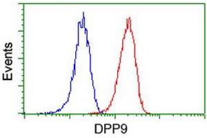 Flow cytometric Analysis of Jurkat cells, using anti-DPP9 antibody (ABIN2455373), (Red), compared to a nonspecific negative control antibody, (Blue). (DPP9 抗体)