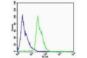 SH-SY5Y cells probed with Rabbit Anti-Dopamine Receptor D1 Polyclonal Antibody (ABIN2173724) at 1:100 for 60 minutes at room temperature followed by Goat Anti-Rabbit IgG (H+L) Alexa Fluor 488 Conjugated Secondary. (Dopamine Receptor d1 抗体  (AA 11-100))