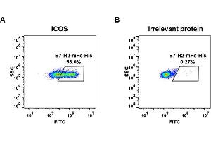 Flow Cytometry (FACS) image for Inducible T-Cell Co-Stimulator Ligand (ICOSLG) (AA 19-256) protein (mFc-His Tag) (ABIN6961102)