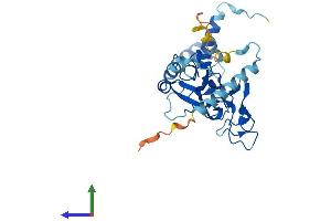 AlphaFold protein structure predicition of Human Recombinant FAM221A Protein, UniprotID A4D161 (FAM221A Protein (AA 1-298) (His tag))