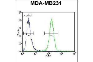Flow cytometric analysis of MDA-MB231 cells (right histogram) compared to a negative control cell (left histogram). (SMIM14 抗体  (C-Term))