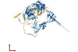 Protein Structure (PS) image for SWI/SNF Related, Matrix Associated, Actin Dependent Regulator of Chromatin, Subfamily A, Member 1 (SMARCA1) (AA 1-1054) protein (His tag) (ABIN7555526)