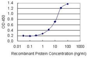 Detection limit for recombinant GST tagged IPO8 is 0. (Importin 8 抗体  (AA 949-1037))