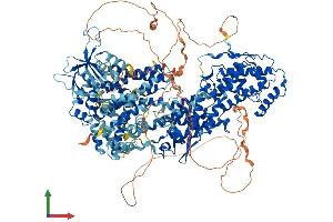 Protein Structure (PS) image for Son of Sevenless Homolog 1 (SOS1) (AA 1-1319) protein (His tag) (ABIN7563959)
