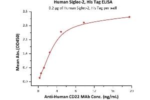 Immobilized Human Siglec-2, His Tag (ABIN5526644,ABIN5526645) at 2 μg/mL (100 μL/well) can bind A CD22 MAb with a linear range of 0. (CD22 Protein (AA 20-687) (His tag))