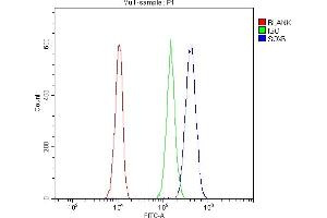 Flow Cytometry analysis of A549 cells using anti-SOX6 antibody (ABIN7603012). (SOX6 抗体  (Middle Region))