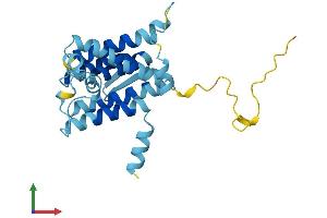 AlphaFold protein structure predicition of Mouse Recombinant Derl2 Protein, UniprotID Q8BNI4