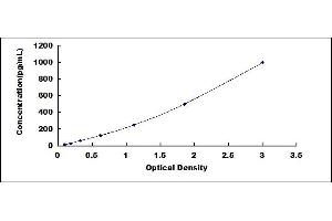Typical standard curve (IFNA11 ELISA 试剂盒)