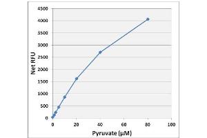 Biochemical Assay (BCA) image for Pyruvate Assay Kit (ABIN5067572)