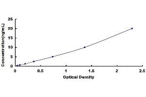 Typical standard curve (CRHR1 ELISA 试剂盒)