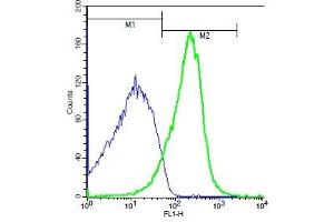 Mouse kidney probed with Rabbit Anti-RIPK3 Polyclonal Antibody, Unconjugated (ABIN700675) (green) at 1:50 for 40 minutes followed by incubation with a FITC conjugated secondary compared to control cells (blue). (RIPK3 抗体)