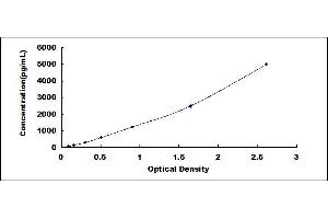 Typical standard curve (CCL22 ELISA 试剂盒)