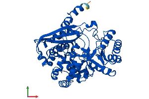 Protein Structure (PS) image for Enolase Superfamily Member 1 (ENOSF1) (AA 1-443) protein (His tag) (ABIN7547391)