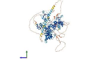 Protein Structure (PS) image for PAX Interacting (With Transcription-Activation Domain) Protein 1 (PAXIP1) (AA 1-1056) protein (His tag) (ABIN7564074)