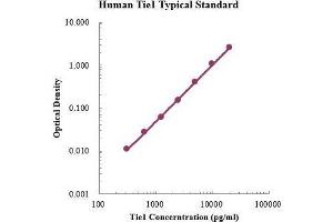 tyrosine Kinase with Immunoglobulin-Like and EGF-Like Domains 1 (TIE1) ELISA Kit