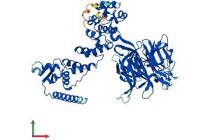Protein Structure (PS) image for Kelch-like protein 41 (KLHL41) (AA 1-606) protein (His tag) (ABIN7561959)
