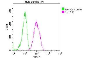 Overlay histogram showing A549 cells stained with ABIN7147174 (red line) at 1:100. (CD63 抗体  (AA 103-203))