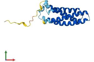 Protein Structure (PS) image for Mal, T-Cell Differentiation Protein-Like (Mall) (AA 1-154) protein (His tag) (ABIN7560070)