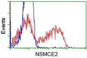 HEK293T cells transfected with either RC207639 overexpress plasmid (Red) or empty vector control plasmid (Blue) were immunostained by anti-NSMCE2 antibody (ABIN2453380), and then analyzed by flow cytometry. (NSMCE2 抗体)