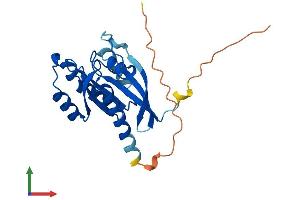 Protein Structure (PS) image for RAB3B, Member RAS Oncogene Family (RAB3B) (AA 1-219) protein (His tag) (ABIN7551138)