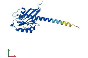 Protein Structure (PS) image for RAB35, Member RAS Oncogene Family (RAB35) (AA 1-201) protein (His tag) (ABIN7558083)