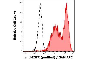 Separation of A-431 cells (red-filled) from SP2 cells (black-dashed) in flow cytometry analysis (surface staining) of cell lines stained using anti-EGFR (EGFR1) purified antibody (concentration in sample 1 μg/mL) GAM APC. (EGFR 抗体)