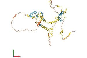 AlphaFold protein structure predicition of Human Recombinant FAM47DP Protein, UniprotID A6NHR8