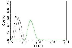 Flow Cytometry of human ODC1 on PC3 cells. (ODC1 抗体  (CF®488A))