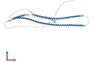 Protein Structure (PS) image for Keratin 36 (KRT36) (AA 1-473) protein (His tag) (ABIN7562026)