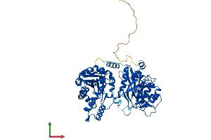 Protein Structure (PS) image for CTP Synthase (CTPS) (AA 1-591) protein (His tag) (ABIN7556737)