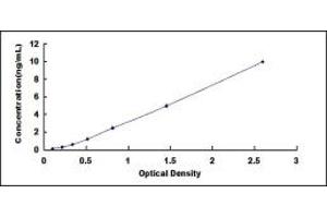 Typical standard curve (NCAM2 ELISA 试剂盒)