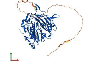 AlphaFold protein structure predicition of Mouse Recombinant Rcc2 Protein, UniprotID Q8BK67