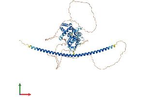 Protein Structure (PS) image for rho GTPase Activating Protein 22 (ARHGAP22) (AA 1-698) protein (His tag) (ABIN7555228)