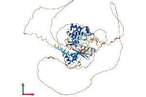 Protein Structure (PS) image for SNF Related Kinase (SNRK) (AA 1-765) protein (His tag) (ABIN7546139)
