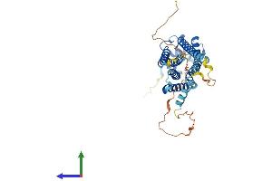 Protein Structure (PS) image for Sphingosine-1-Phosphate Receptor 5 (S1PR5) (AA 1-400) protein (His tag) (ABIN7564808)