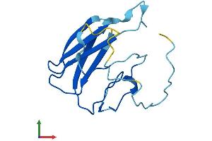 AlphaFold protein structure predicition of Human Recombinant MPTX1 Protein, UniprotID A8MV57