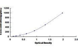 ELISA image for CD40 (CD40) ELISA Kit (ABIN424702)