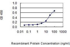 Detection limit for recombinant GST tagged P11 is 1 ng/ml as a capture antibody. (ENDOU 抗体  (AA 270-369))