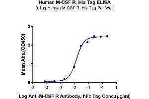 ELISA image for Colony Stimulating Factor 1 Receptor (CSF1R) (AA 20-512) protein (His-Avi Tag) (ABIN7274427)