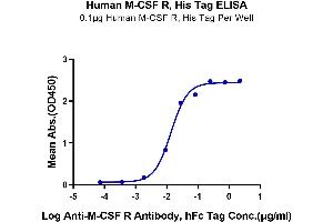 Immobilized Human M-CSF R, His Tag at 1 μg/mL (100 μL/Well). (CSF1R Protein (AA 20-512) (His-Avi Tag))