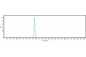 anti-CALCRL (Erenumab Biosimilar) antibody