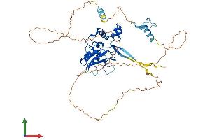 AlphaFold protein structure predicition of Human Recombinant SOCS4 Protein, UniprotID Q8WXH5 (SOCS4 Protein (AA 1-440) (His tag))