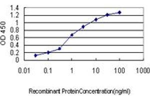 Detection limit for recombinant GST tagged NCK1 is approximately 0. (NCK1 抗体  (AA 185-294))