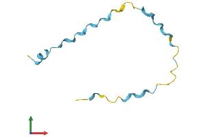 Protein Structure (PS) image for Small Proline-Rich Protein 2F (SPRR2F) (AA 1-76) protein (Fc Tag) (ABIN7562567)