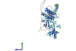 Protein Structure (PS) image for Usher Syndrome 1C (Autosomal Recessive, Severe) (USH1C) (AA 1-552) protein (His tag) (ABIN7555981)