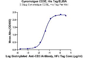Immobilized Cynomolgus CD3E, His Tag at 0. (CD3 epsilon Protein (CD3E) (His tag))