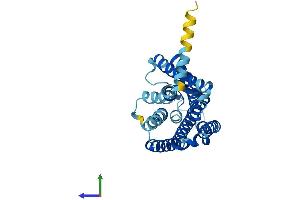 Protein Structure (PS) image for Olfactory Receptor, Family 51, Subfamily E, Member 2 (OR51E2) (AA 1-320) protein (His tag) (ABIN7550414)